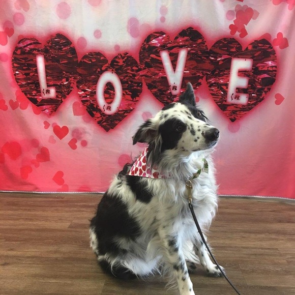 Meet your Posher, Magen - Picture 5 of 8